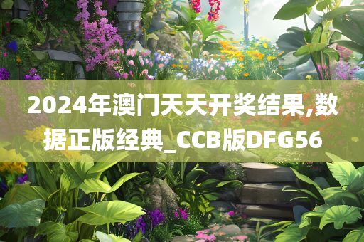 2024年澳门天天开奖结果,数据正版经典_CCB版DFG56