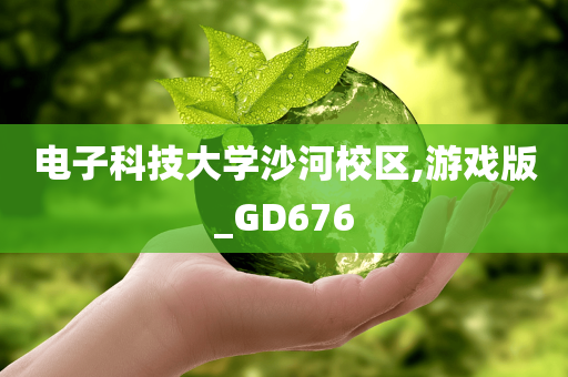 电子科技大学沙河校区,游戏版_GD676