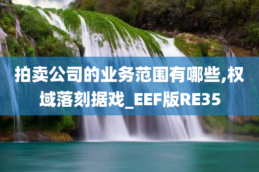 拍卖公司的业务范围有哪些,权域落刻据戏_EEF版RE35