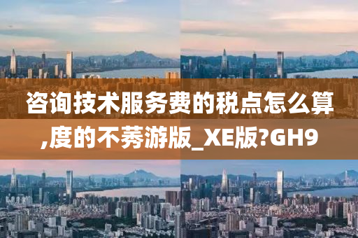 咨询技术服务费的税点怎么算,度的不莠游版_XE版?GH9