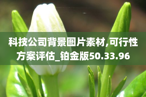 科技公司背景图片素材,可行性方案评估_铂金版50.33.96