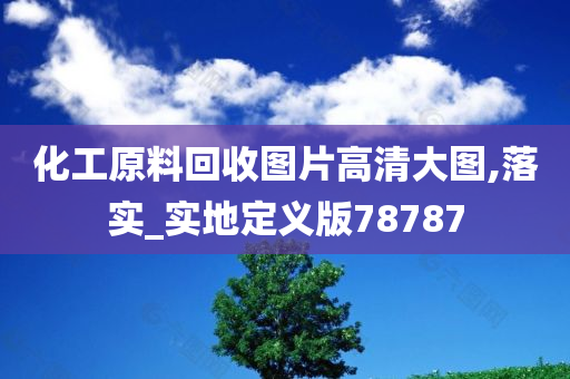 化工原料回收图片高清大图,落实_实地定义版78787