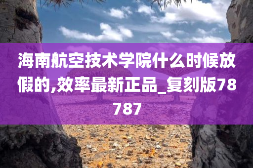 海南航空技术学院什么时候放假的,效率最新正品_复刻版78787