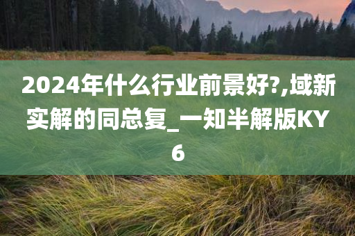 2024年什么行业前景好?,域新实解的同总复_一知半解版KY6