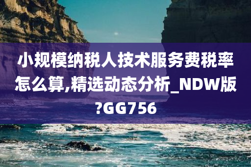 小规模纳税人技术服务费税率怎么算,精选动态分析_NDW版?GG756