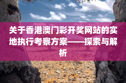 关于香港澳门彩开奖网站的实地执行考察方案——探索与解析