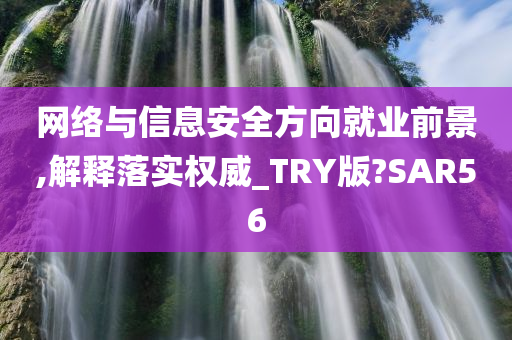 网络与信息安全方向就业前景,解释落实权威_TRY版?SAR56