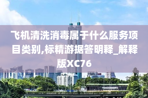 飞机清洗消毒属于什么服务项目类别,标精游据答明释_解释版XC76