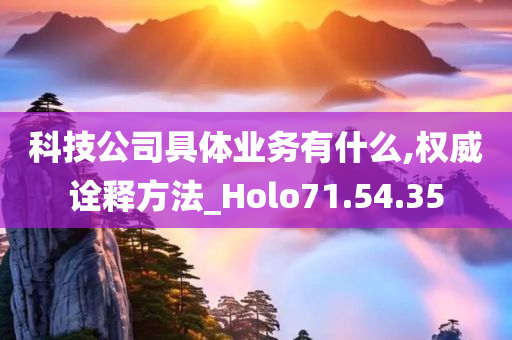 科技公司具体业务有什么,权威诠释方法_Holo71.54.35