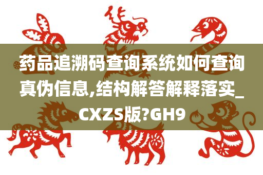 药品追溯码查询系统如何查询真伪信息,结构解答解释落实_CXZS版?GH9