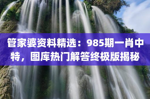 管家婆资料精选：985期一肖中特，图库热门解答终极版揭秘