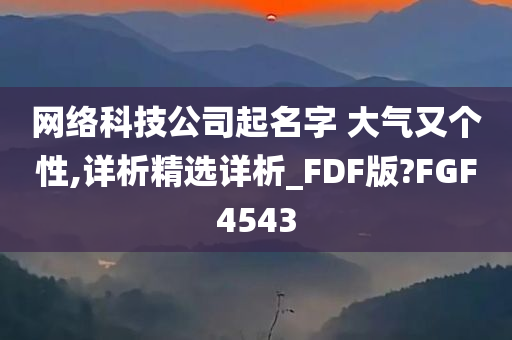 网络科技公司起名字 大气又个性,详析精选详析_FDF版?FGF4543