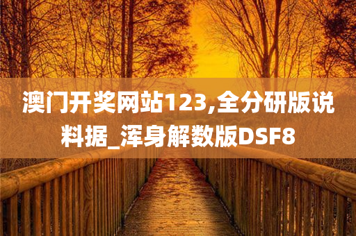 澳门开奖网站123,全分研版说料据_浑身解数版DSF8