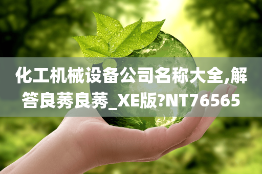 化工机械设备公司名称大全,解答良莠良莠_XE版?NT76565