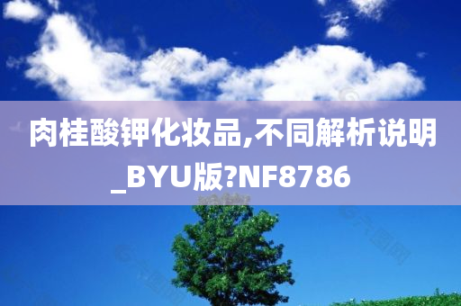 肉桂酸钾化妆品,不同解析说明_BYU版?NF8786