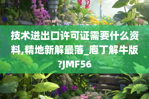 技术进出口许可证需要什么资料,精地新解最落_庖丁解牛版?JMF56