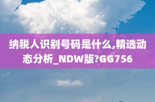 纳税人识别号码是什么,精选动态分析_NDW版?GG756