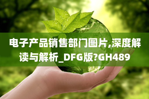 电子产品销售部门图片,深度解读与解析_DFG版?GH489