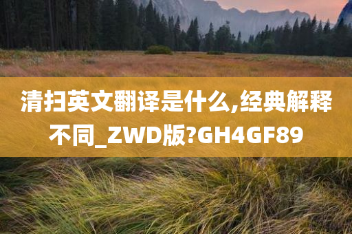 清扫英文翻译是什么,经典解释不同_ZWD版?GH4GF89