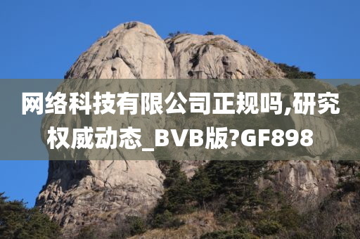 网络科技有限公司正规吗,研究权威动态_BVB版?GF898