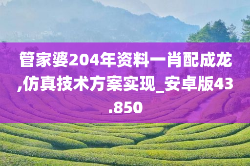 管家婆204年资料一肖配成龙,仿真技术方案实现_安卓版43.850