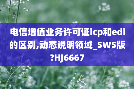 电信增值业务许可证icp和edi的区别,动态说明领域_SWS版?HJ6667