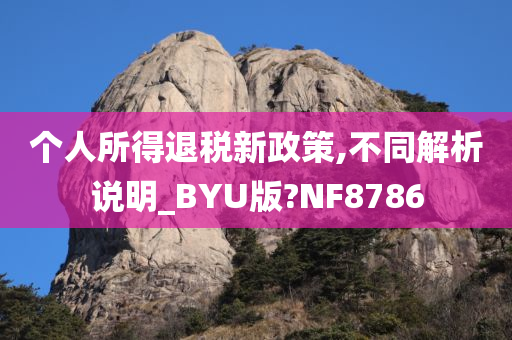 个人所得退税新政策,不同解析说明_BYU版?NF8786