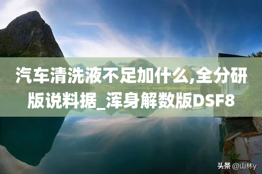 汽车清洗液不足加什么,全分研版说料据_浑身解数版DSF8