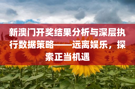 新澳门开奖结果分析与深层执行数据策略——远离娱乐，探索正当机遇