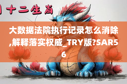 大数据法院执行记录怎么消除,解释落实权威_TRY版?SAR56