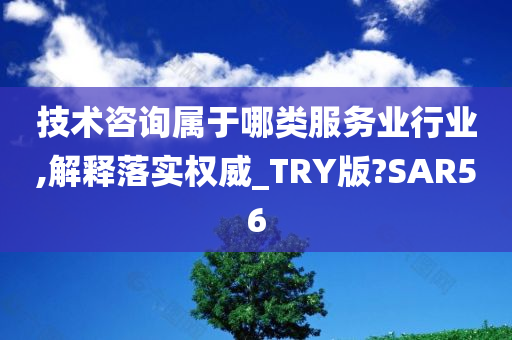 技术咨询属于哪类服务业行业,解释落实权威_TRY版?SAR56