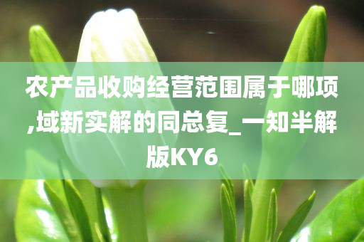 农产品收购经营范围属于哪项,域新实解的同总复_一知半解版KY6