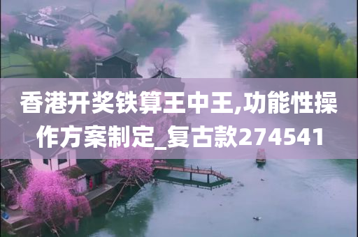 香港开奖铁算王中王,功能性操作方案制定_复古款274541