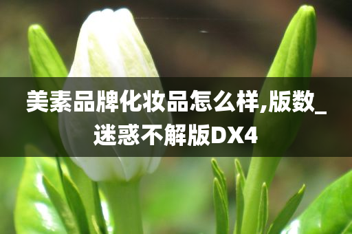 美素品牌化妆品怎么样,版数_迷惑不解版DX4