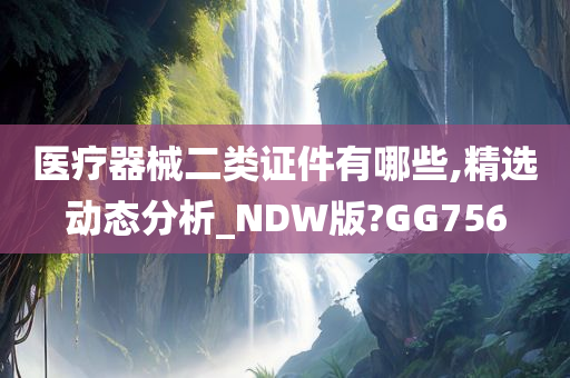 医疗器械二类证件有哪些,精选动态分析_NDW版?GG756