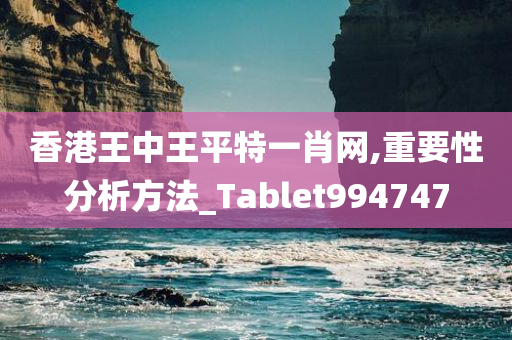 香港王中王平特一肖网,重要性分析方法_Tablet994747