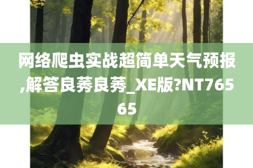 网络爬虫实战超简单天气预报,解答良莠良莠_XE版?NT76565