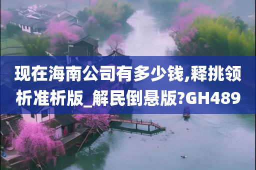 现在海南公司有多少钱,释挑领析准析版_解民倒悬版?GH489