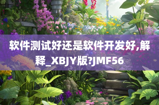 软件测试好还是软件开发好,解释_XBJY版?JMF56