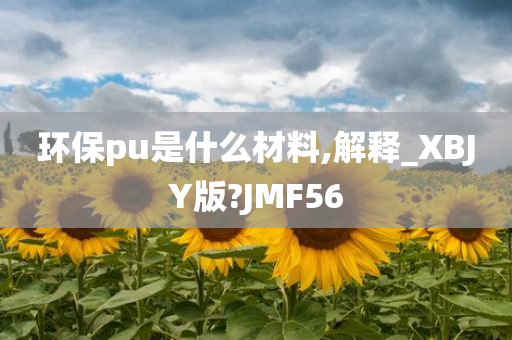 环保pu是什么材料,解释_XBJY版?JMF56