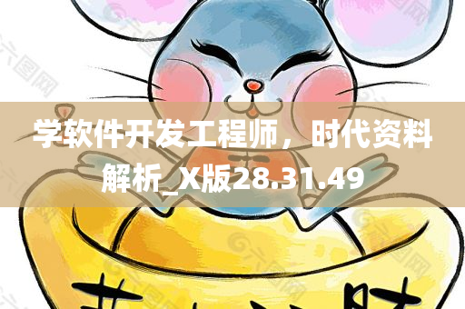 学软件开发工程师，时代资料解析_X版28.31.49