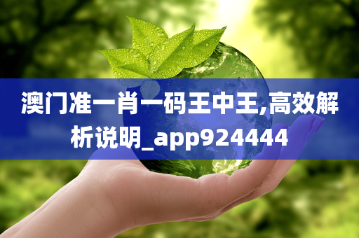 澳门准一肖一码王中王,高效解析说明_app924444