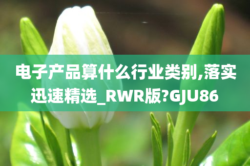 电子产品算什么行业类别,落实迅速精选_RWR版?GJU86