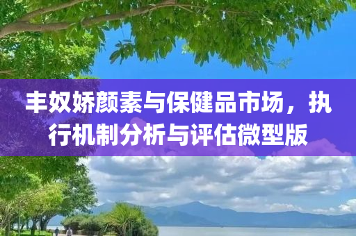 丰奴娇颜素与保健品市场，执行机制分析与评估微型版