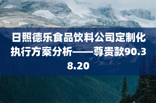 日照德乐食品饮料公司定制化执行方案分析——尊贵款90.38.20