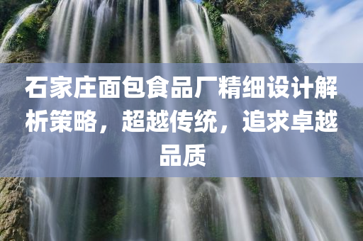 石家庄面包食品厂精细设计解析策略，超越传统，追求卓越品质