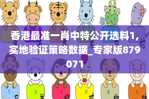 香港最准一肖中特公开选料1,实地验证策略数据_专家版879071