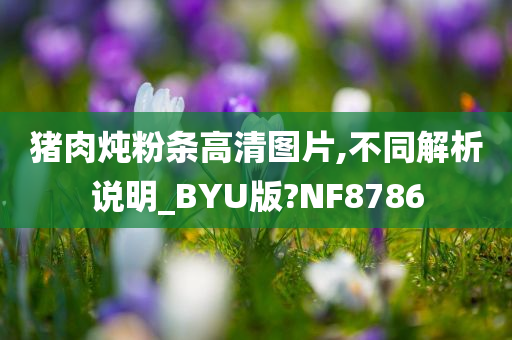 猪肉炖粉条高清图片,不同解析说明_BYU版?NF8786