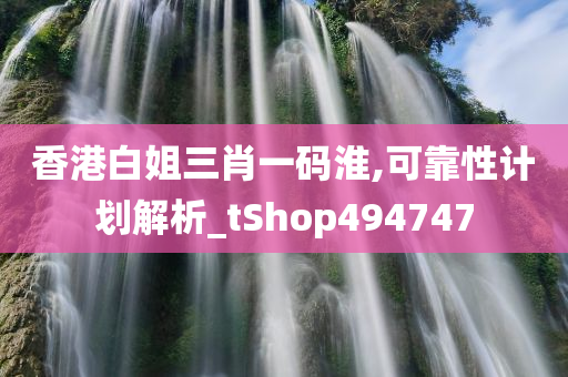 香港白姐三肖一码淮,可靠性计划解析_tShop494747