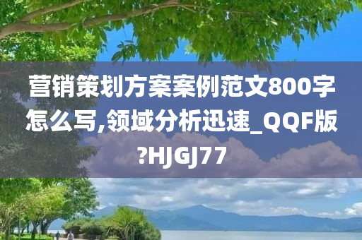 营销策划方案案例范文800字怎么写,领域分析迅速_QQF版?HJGJ77